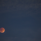 Image for article titled 34 Amazing Photos Of The Super Blood Moon